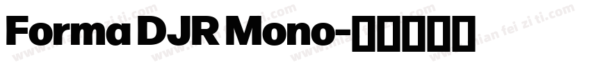 Forma DJR Mono字体转换